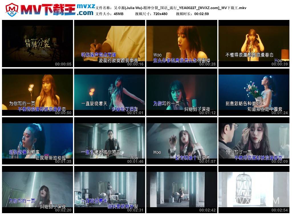 吴卓源(Julia Wu)-精神分裂_国语_流行_YEA00227